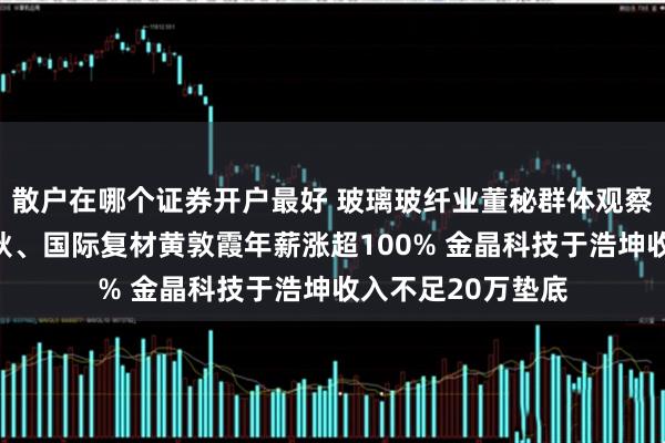 散户在哪个证券开户最好 玻璃玻纤业董秘群体观察：山东玻纤王传秋、国际复材黄敦霞年薪涨超100% 金晶科技于浩坤收入不足20万垫底